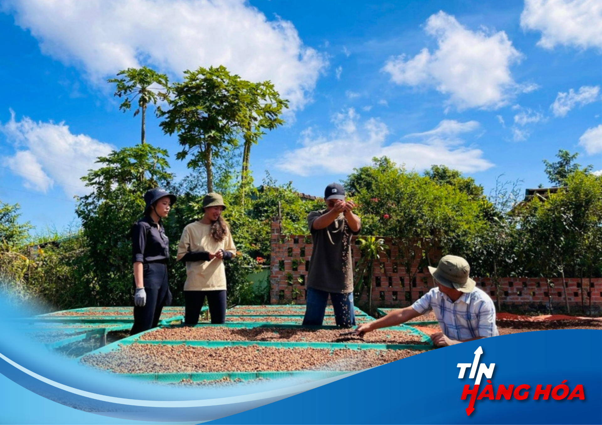 Gi&aacute; N&ocirc;ng Sản Ổn Định: Đ&ograve;n Bẩy Ph&aacute;t Triển N&ocirc;ng Nghiệp Bền Vững Tại Gia Lai